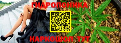 молекула духа Обь