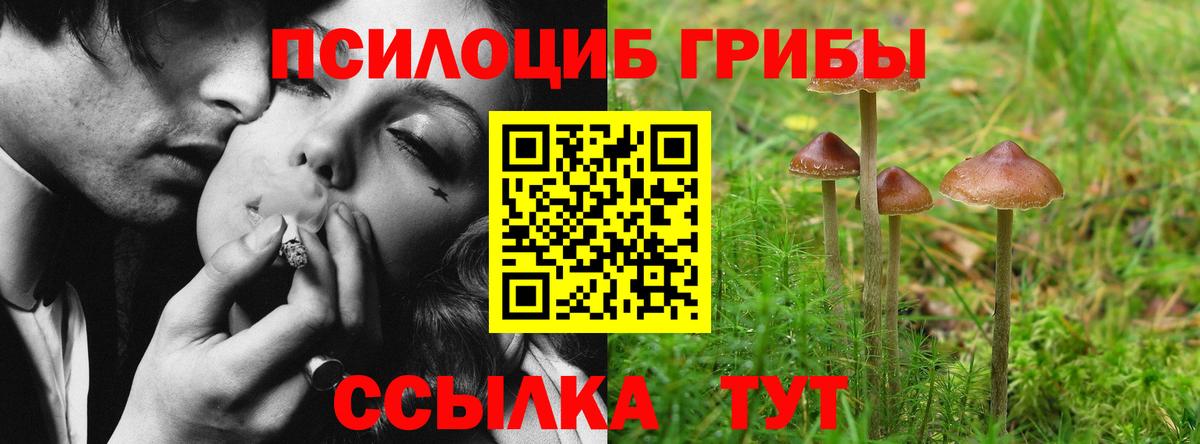 Топки  Псилоцибиновые грибы GOLDEN TEACHER  Вход с VPN 